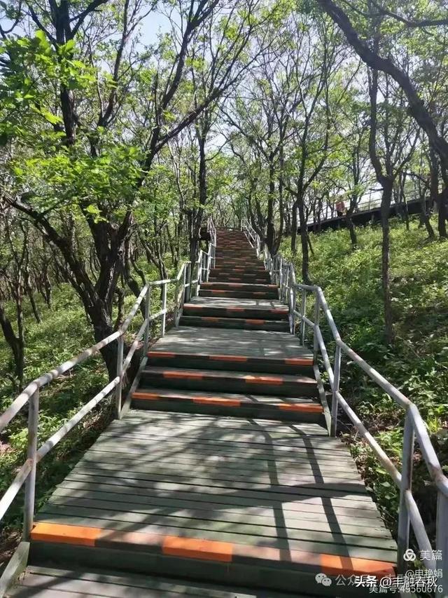 探秘北京房山百瑞谷，邂逅自然的奇幻之美｜申艳娟