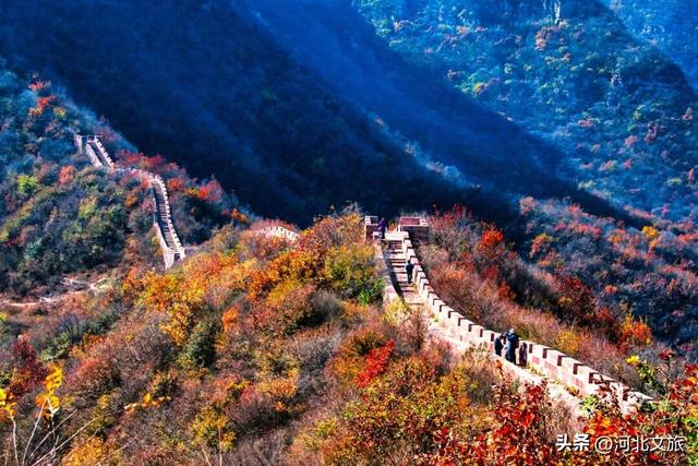 李子柒式的诗意栖居，赞皇也有！