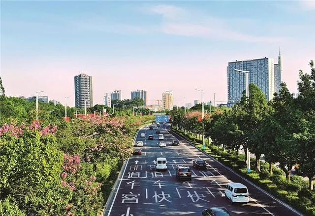 综艺同款生活落地番禺，房车旅行仪式感拉满