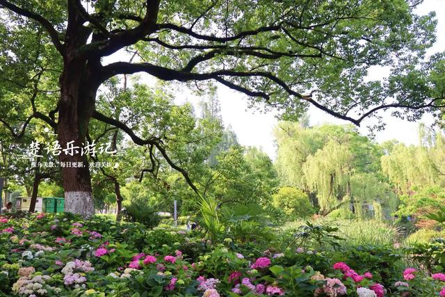 浙江宁波地铁7号线开通，沿线都有哪些好玩的风景，看这篇攻略