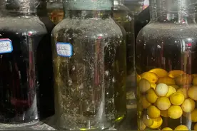 灵芝泡酒绝了！三料黄金配比，老中医偷偷用图片