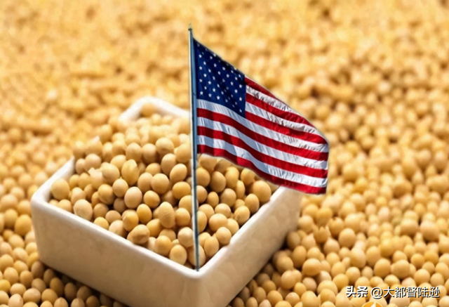 明明卖不出去，为什么美国大豆不和巴西卷价格？其实是卷了也没用