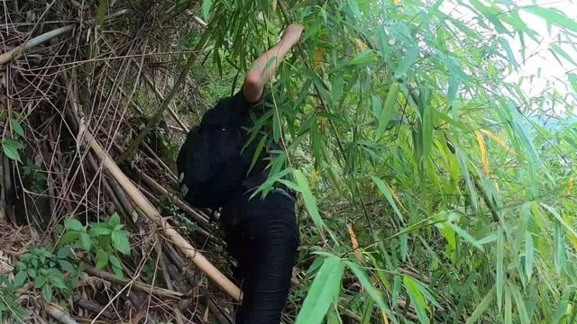 重庆渝北水库边发现神秘悬崖洞，传闻是旧时大地主私藏财宝的据点