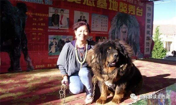 山南•曲松，这几个地方必须去，可以一睹藏獒风采