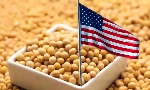 美子弹已上膛，美财长通知中国交出稀土，话音刚落，中方停购大豆