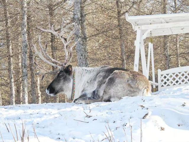 游览乌兰布统影视外景基地