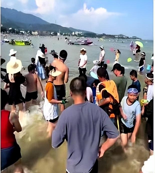 深圳民宿老板太卷了！4天撒2吨海鲜让游客随便捡