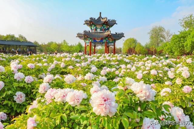 河南人去了菏泽和临沂，直言不讳：菏泽人和临沂人气质截然不同！