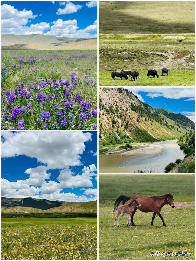 藏东秘境昌都漫游指南——环线邂逅雪山冰川古寺