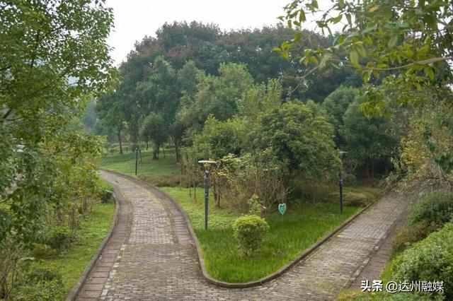 Run渠县，每一步都“热辣滚烫”