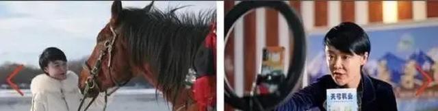 查了贺娇龙的背景重大大发现，官媒下场证实，她走了父母的老路