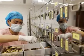 厚朴中医总部大厦启用！嘉定“家门口”的中医服务能力再提升图片