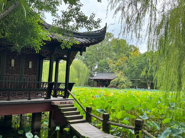 桂湖公园