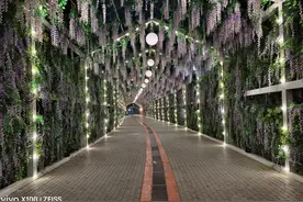 小崔为什么这么胆大 明知是违规操作 还敢你爆通讯录图片