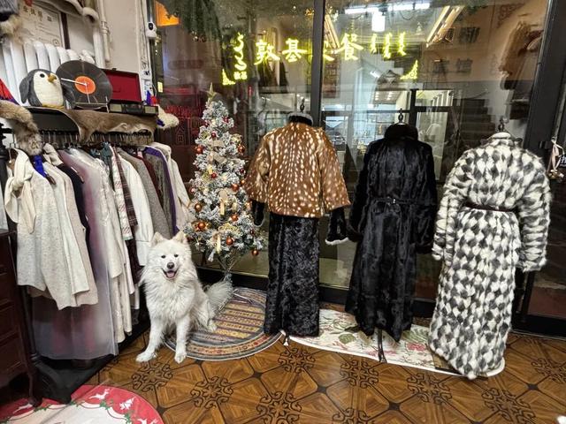 选对一件蒙古袍，做朋友圈最靓的“风雪之子”