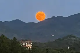 “韩侂胄”的“侂”怎么读？图片