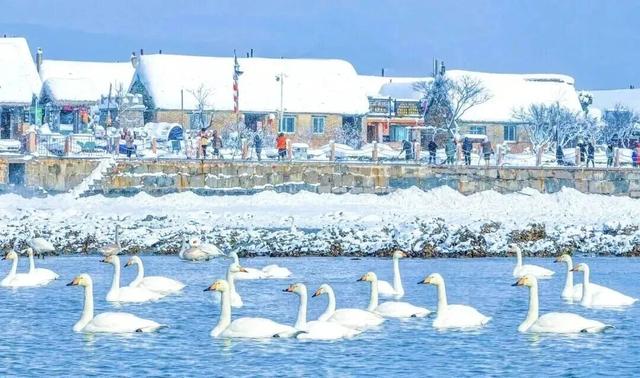 没有保持苹果肌扁平的义务，威海这个“雪窝子”太好玩了！