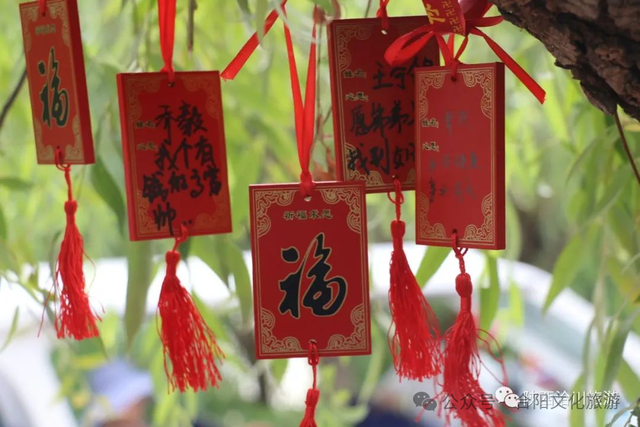 船入蒹葭，泉拥秋凉！洽川景区八月精彩活动等你来~