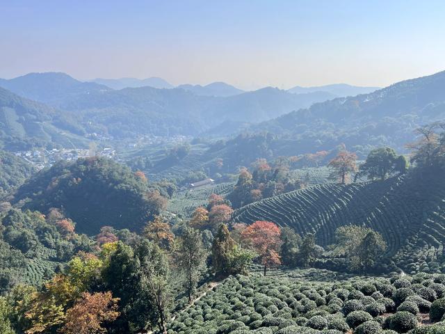 上天竺到云栖竹径，徒步9公里，感受一路秋意。