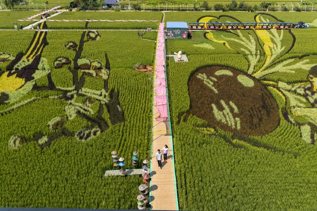 辽宁沈阳：一处画在田间人在画中的景区吸引来自四面八方的游人