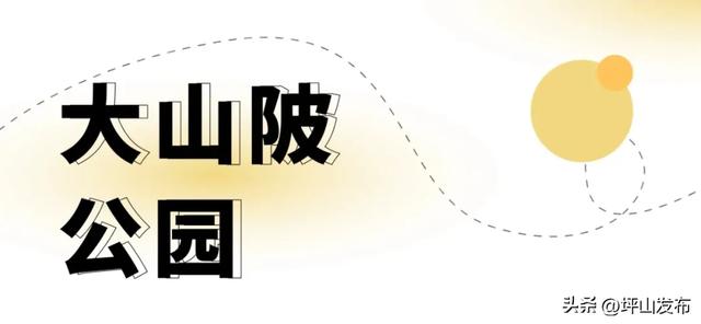 看完你的 看你的，坪山这片格桑花海承包你的秋日治愈感！