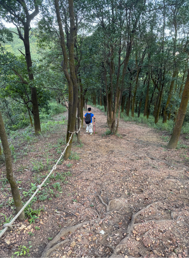 深圳大窝岭→龙岗儿童公园亲子暴走全攻略："野趣+乐园"黄金路线