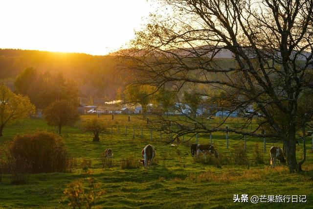 内蒙古与俄罗斯交界有个村庄，需报备才可进入，与世隔绝风景秀丽