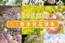 春的气息越来越浓！苏州赏花预告快收好图片