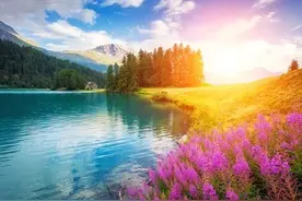 电视可以看直播了图片