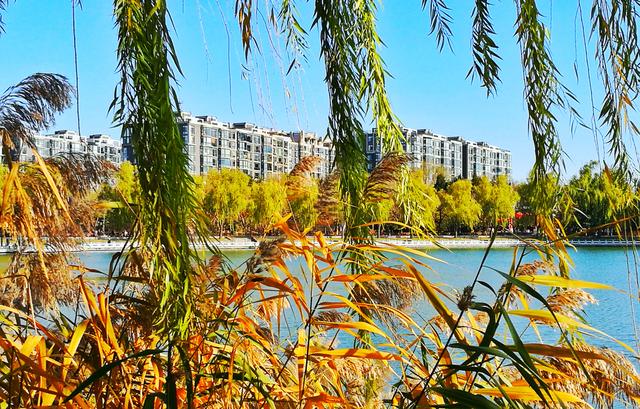 狂风散尽现碧空 北京市民陶然亭公园共赴“大风蓝”之约