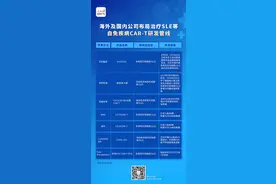 多家药企布局CAR-T治红斑狼疮，全面铺开还需时间图片