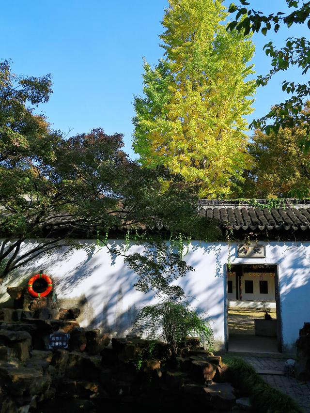 盛泽镇：吴江第一镇，中国百强镇前十，城建规模超过60%以上县城