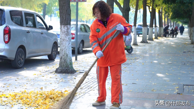 暖阳斜洒，“杏”好有你