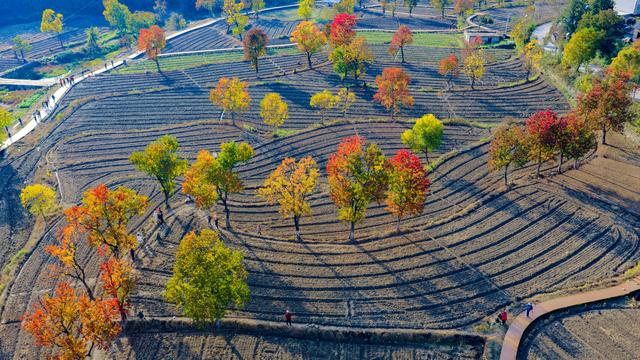大别山中徐凤冲