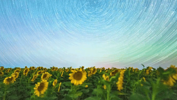 敦煌星空：大漠深处的宇宙情书