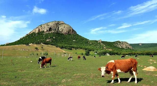 【支援合作 共谋发展】4条春季旅游线路出炉，带你玩转扎赉特旗→