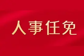 重要人事任命！4人接受审查调查、2人被双开图片