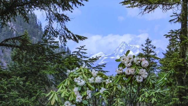 毕棚沟接待游客突破1100000！创下历史新高！