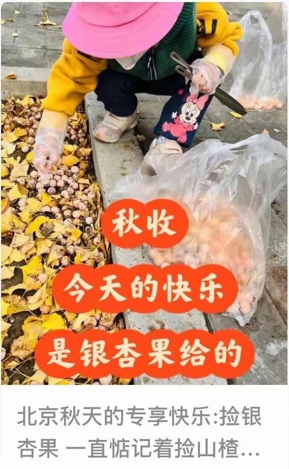 北京已大量出现，可使人中毒，紧急提醒，千门别捡