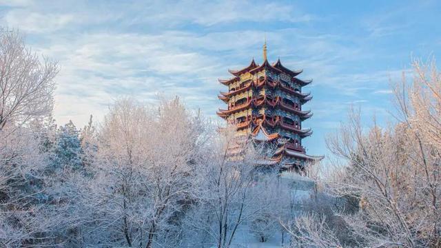 雪落宝清 共赴一场银装素裹的冰雪奇缘