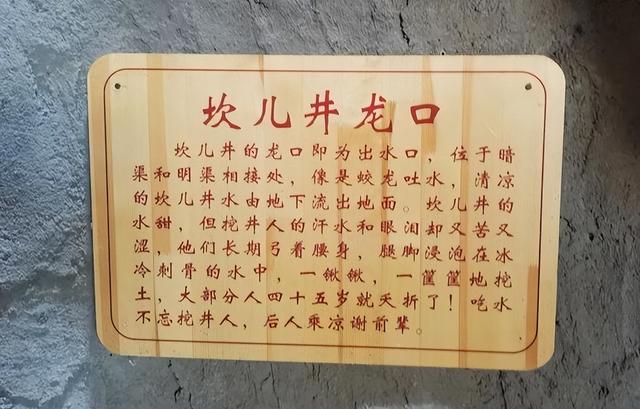 游新疆吐鲁番的坎儿井和葡萄沟