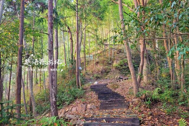 浙江宁波的桃源秘境，古枫香扼守村口成迎客盛景，玻璃栈道更好玩