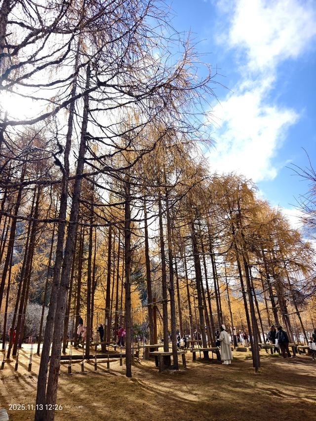 秋假第二天——邂逅毕棚沟的晚秋