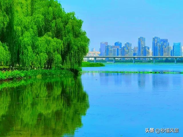 武汉最可惜的湖泊，20年面积缩减了90%，曾是市内第二大城中湖！