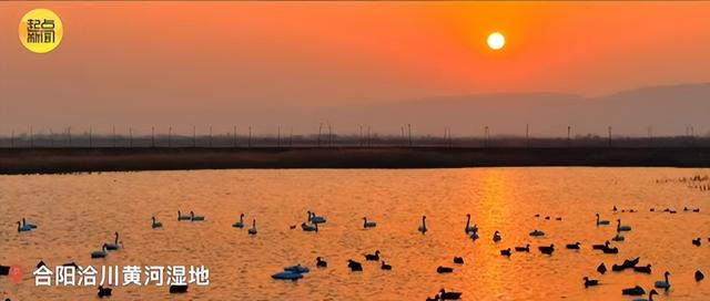 2025年11月26日 渭南文化旅游资讯微报（组图）