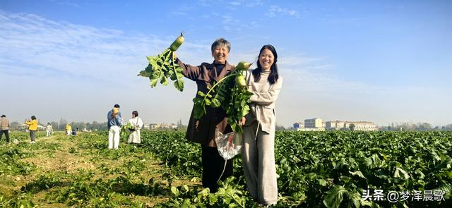 周末新玩法：云梦博物馆看秦简，新马村拔萝卜，武汉家庭乐翻天