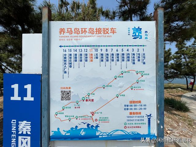 养马岛环岛游