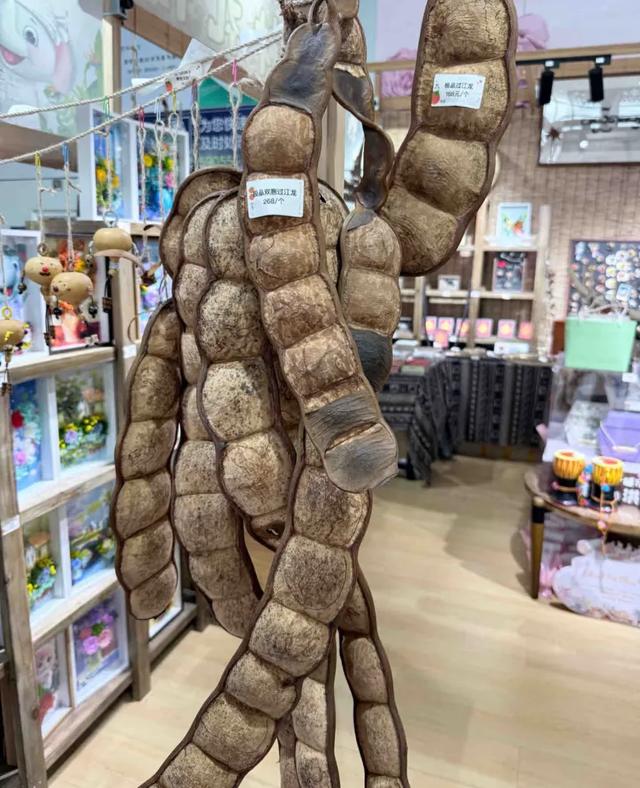 这可能是我买过的最离谱的特产: