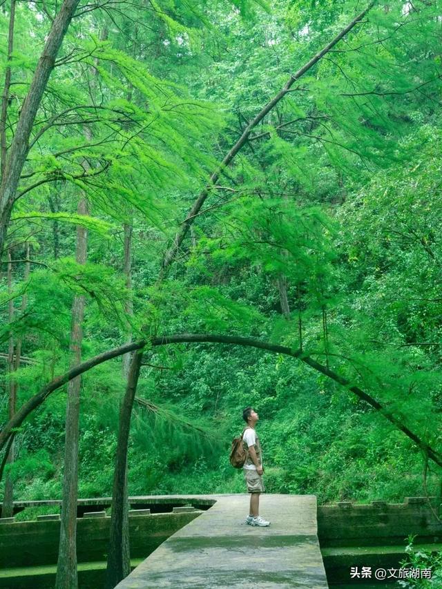 全部免费!解锁长沙10条山林徒步路线