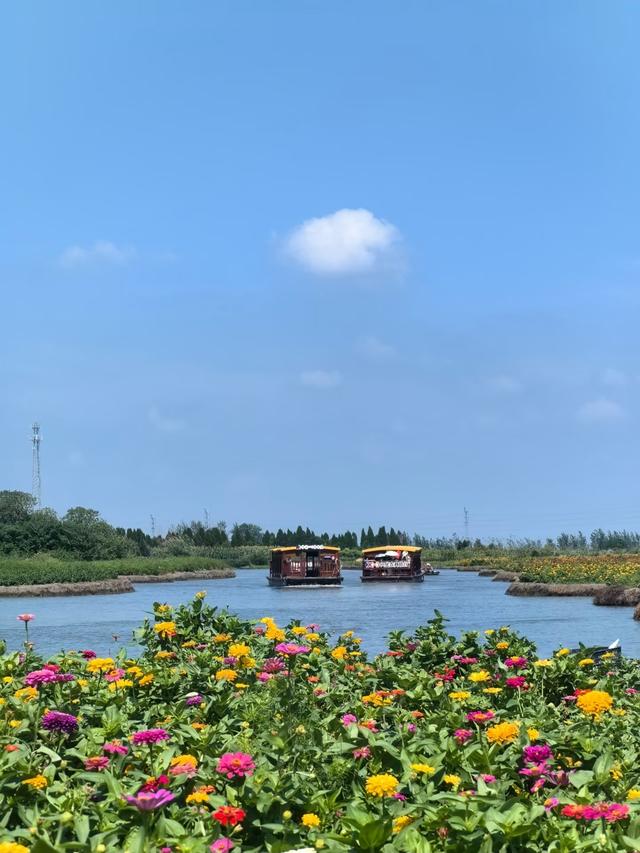 江苏大变局！兴化突然爆红，江苏中部市县集体看懵～